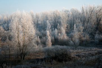Fototapeta premium Paesaggio Invernale