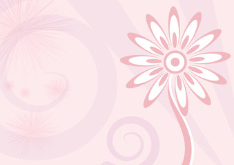 Background Fiore rosa