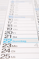 Terminkalender Monatsansicht