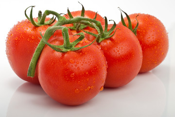 Rispe saftiger Tomaten mit Tropfen vor weissem Hintergrund