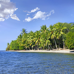 Tropical beach with coconut palm trees, Indonesia