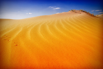 Dunes Landscape