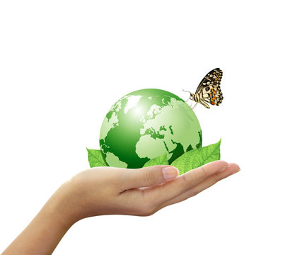 Green world and leaf have butterfly in woman hand