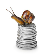 Snail on coins