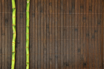 Bambusmatte mit grünem Bambus