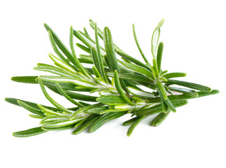 rosemary on a white background