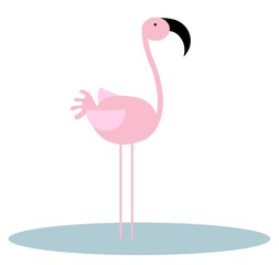 Flamingo