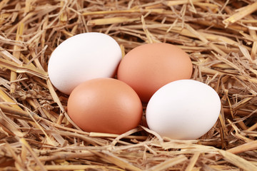 Eier im Stroh
