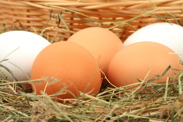 Braune und weiße Hühnereier im Heu