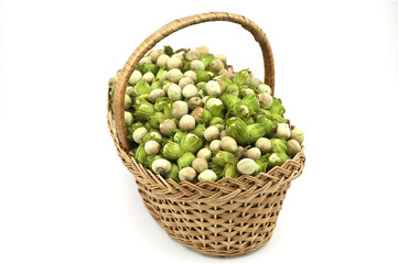 Hazelnuts in the Basket on the White Background