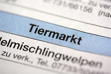 Tiermarkt