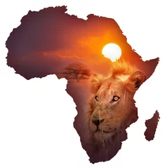 Tuinposter Kaart van Afrikaanse dieren in het wild © JohanSwanepoel