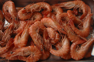 Prawns