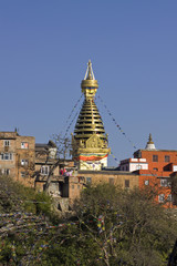 swayambhunath stupa monkey temple
