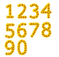 sunflower numbers
