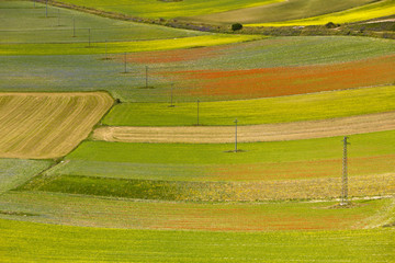 Castelluccio di Norcia