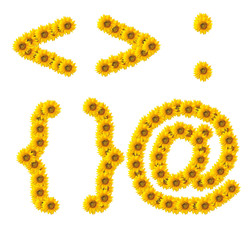 Symbol of sunflower on white background