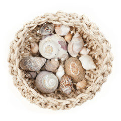 Muscheln in der Schale