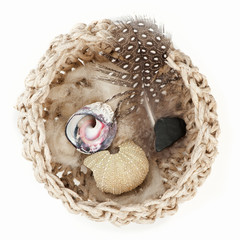 Naturprodukte in der Schale