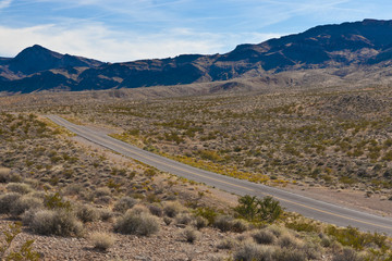 A road in the desert of Nevada