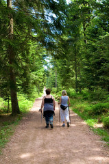 Wanderer im Schwarzwald