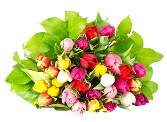bouquet of fresh spring tulip flowers