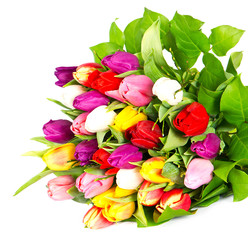 bouquet of fresh assorted tulip flowers
