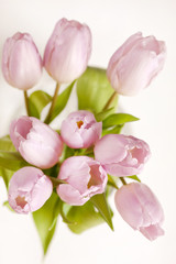 Obraz na płótnie Canvas pink tulips in the vase