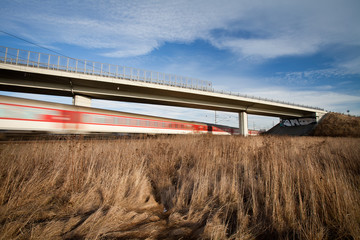 Fast train passing under a bridge on a lovely summer day