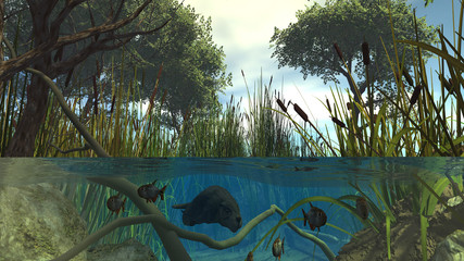 Unter Wasser © dedoma