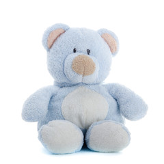 Baby blue bear