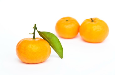Oranges freshy