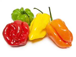 Habanero Piment