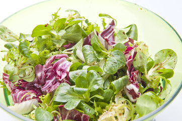 Insalata
