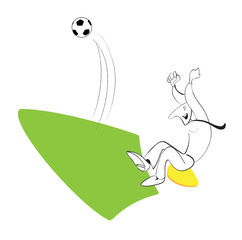 Football fan in the stadium