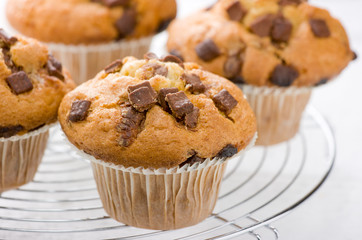 Chocolate chip muffins