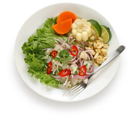 ceviche, seafood dish, peruvian cuisine