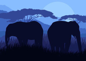 Fototapeta premium Elephant family silhouettes in wild nature mountain