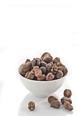 Cup full of shea nuts