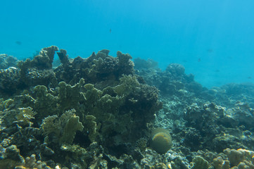 Underwater