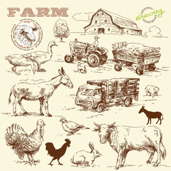farm collection-handmade drawing
