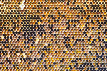 Honeycomb pattern