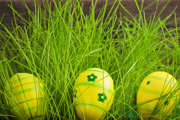 Easter eggs hidden in green grass