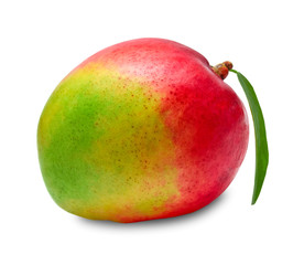 Mango isolated on white background