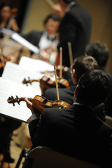 Violinist