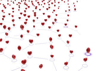 Linked Hearts Network