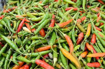 Fresh Red and Green Chili  background texture