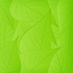 Naklejka na ściany i meble Green Leaves Background