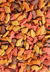 Dry cat food close-up