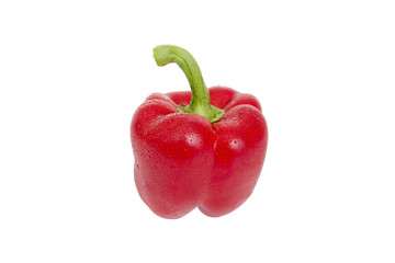 Bulgarian red pepper isolated on white background